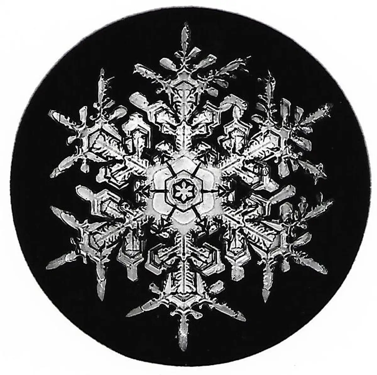 Snowflake_001